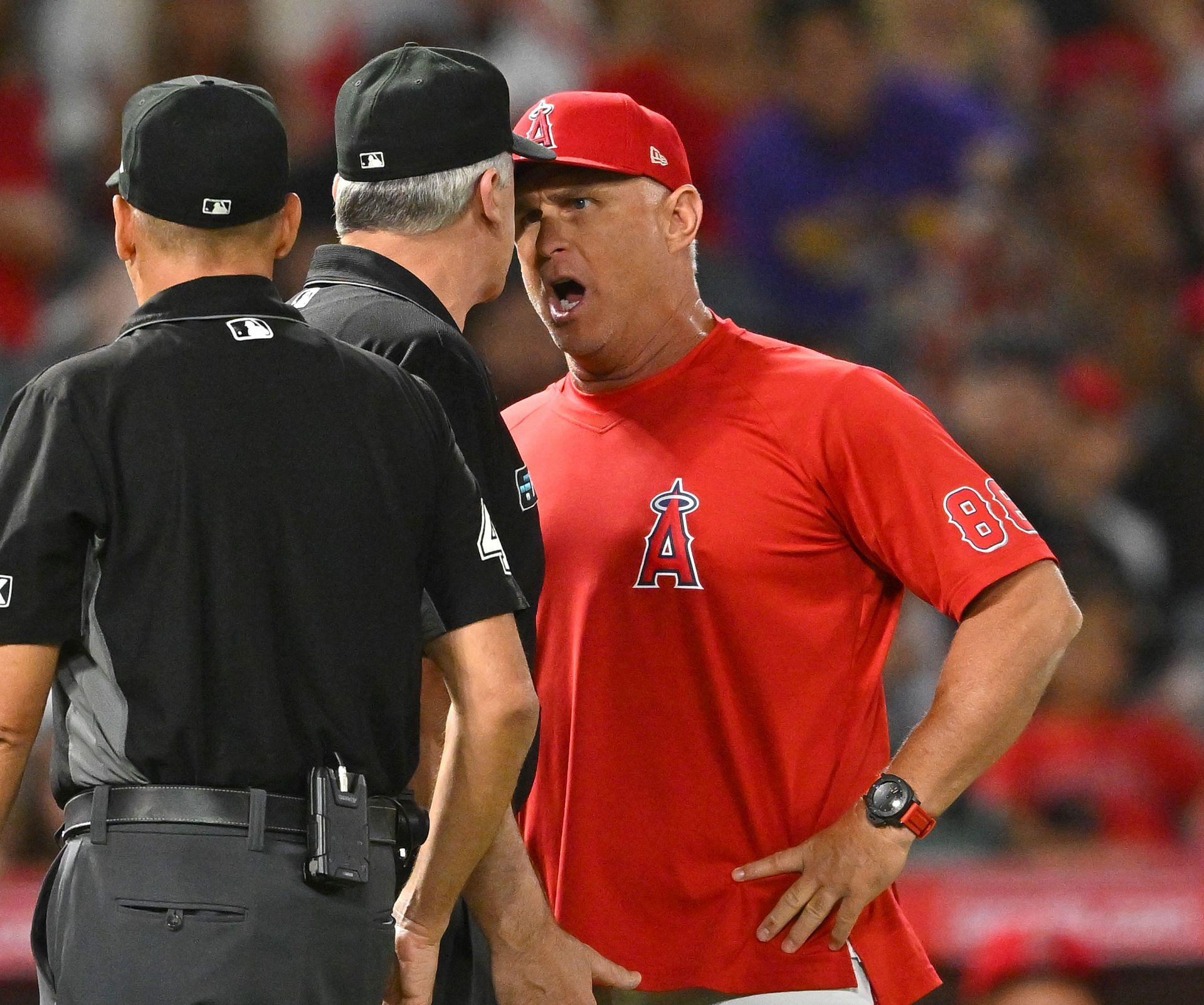 Angels manager arguing with officials
